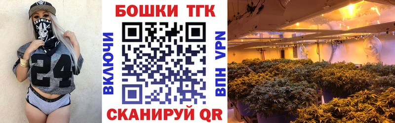 Конопля гибрид  Пионерский 